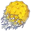 阿賴耶華素材圖示