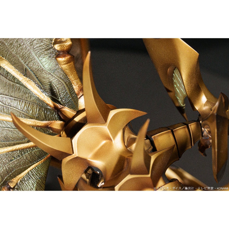 翅膀的紋理細節清晰可見