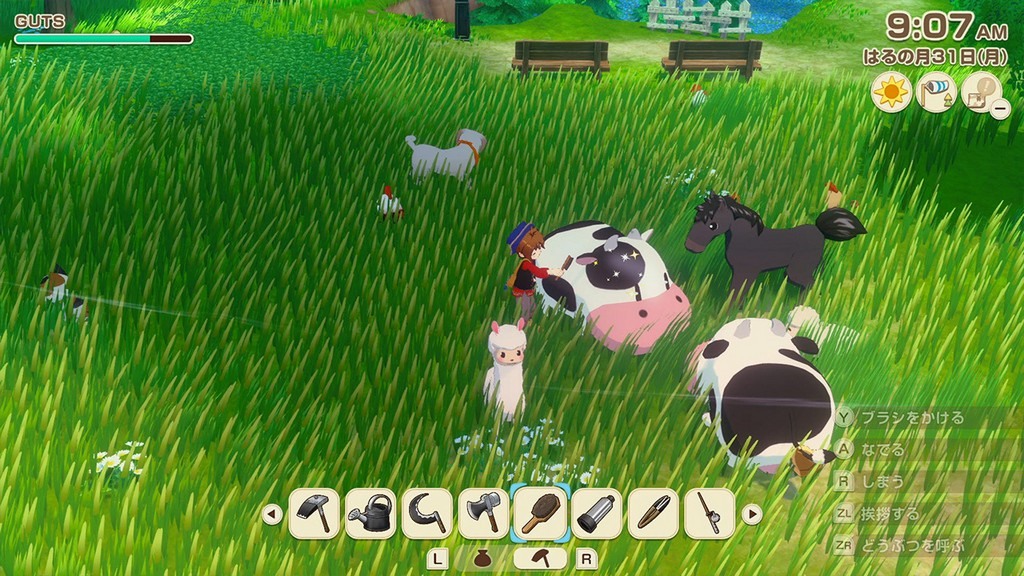 照顧可愛的牧場動物