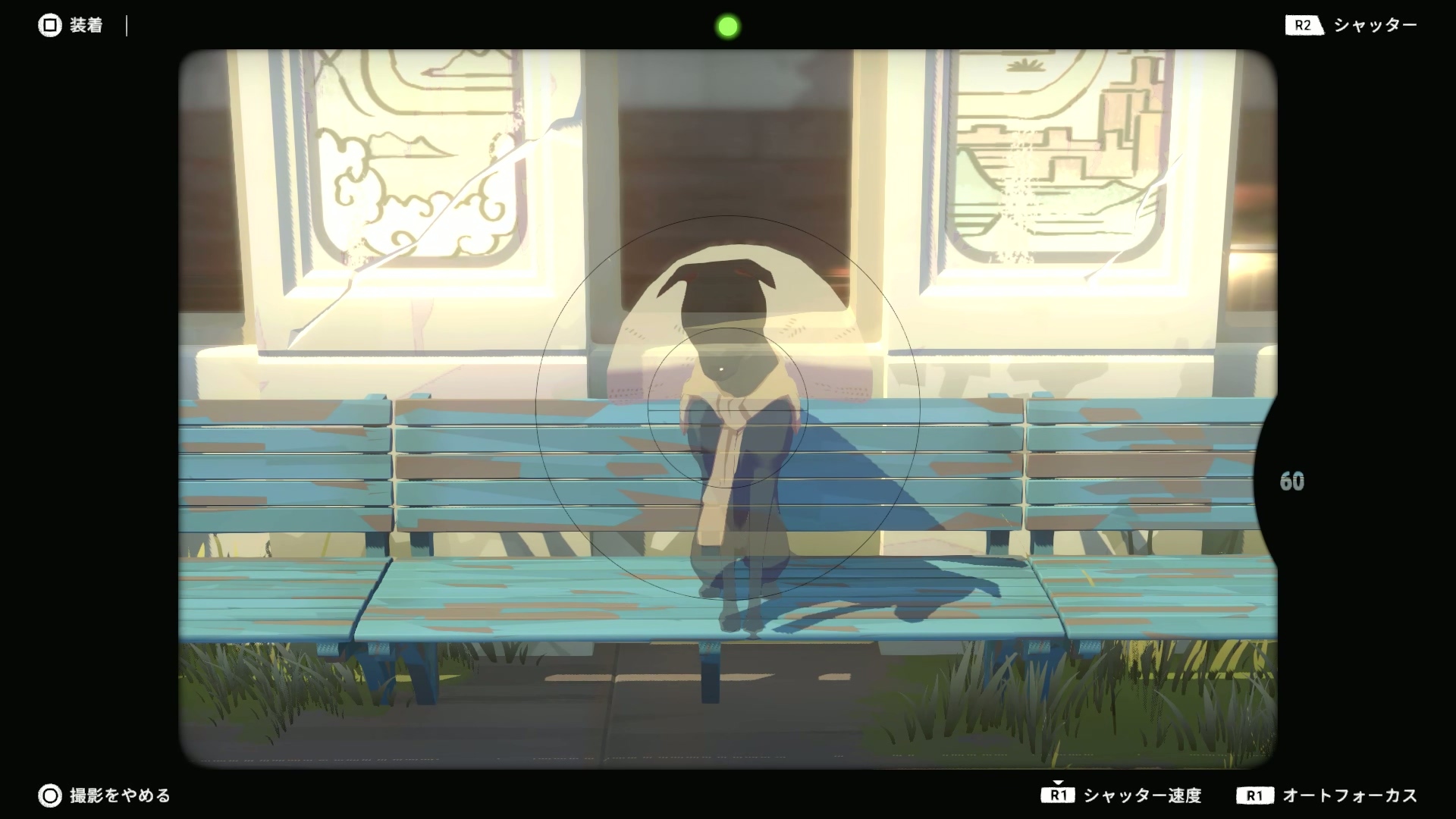 為失去記憶的動物神靈拍照。