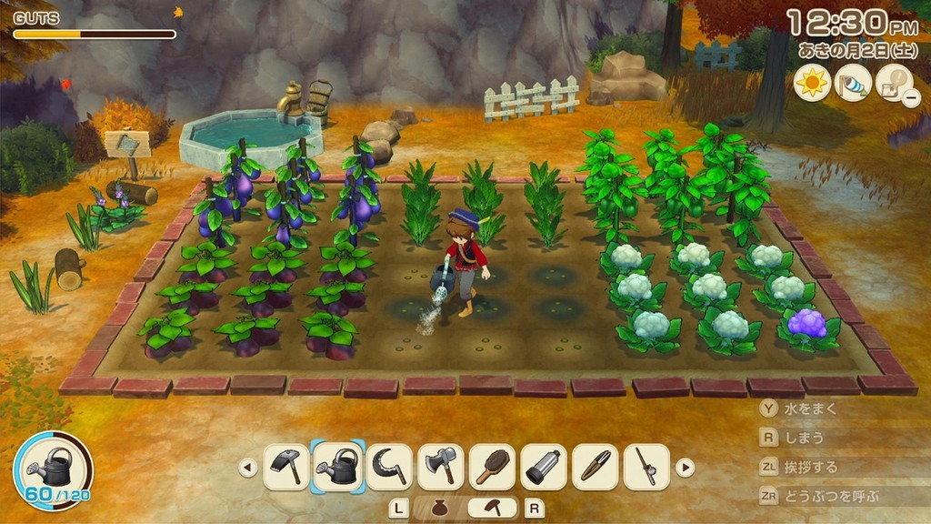 在牧場中辛勤耕作