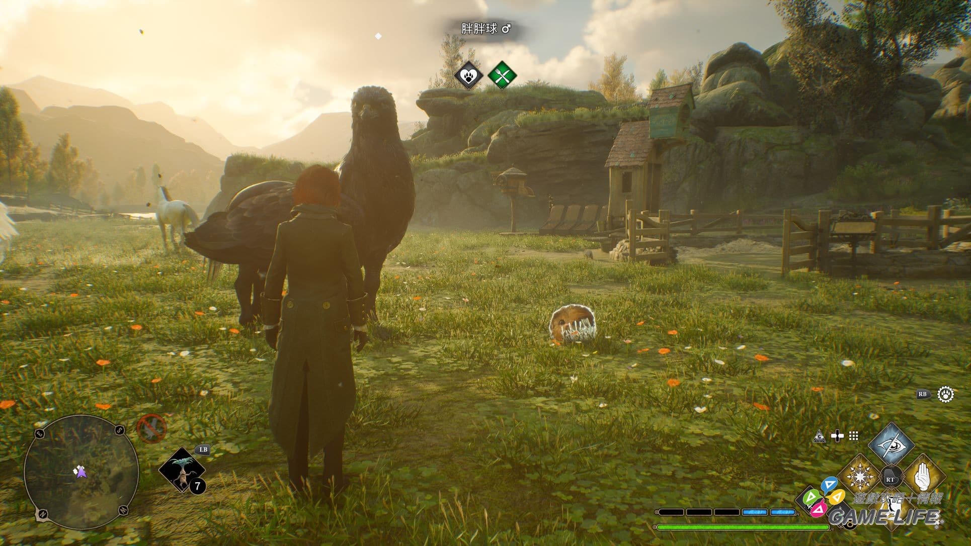 在萬應室中飼養可愛的奇獸