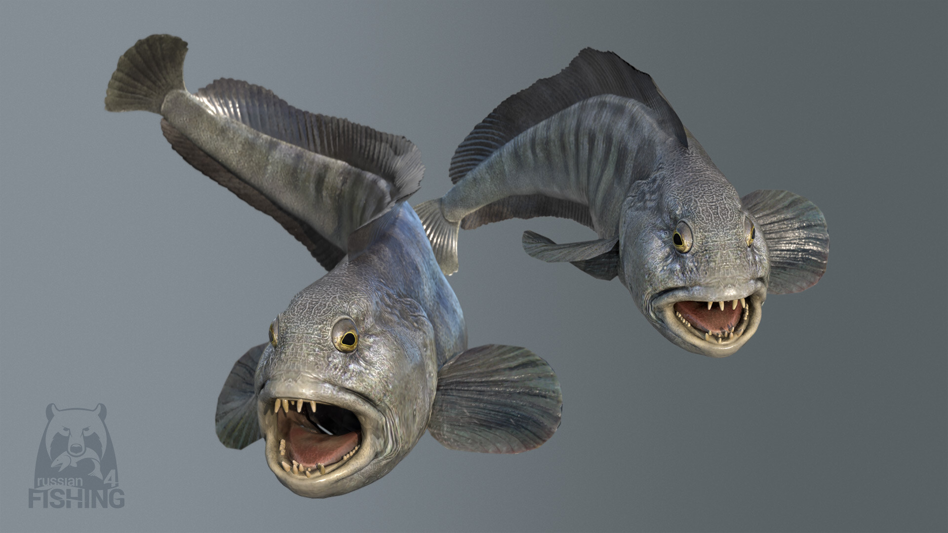 《Russian Fishing 4》新手常見5大錯誤｜避免這些地雷全面提升釣魚效率