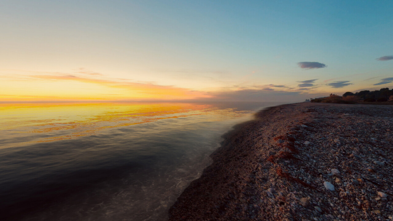 成功釣起大魚的瞬間