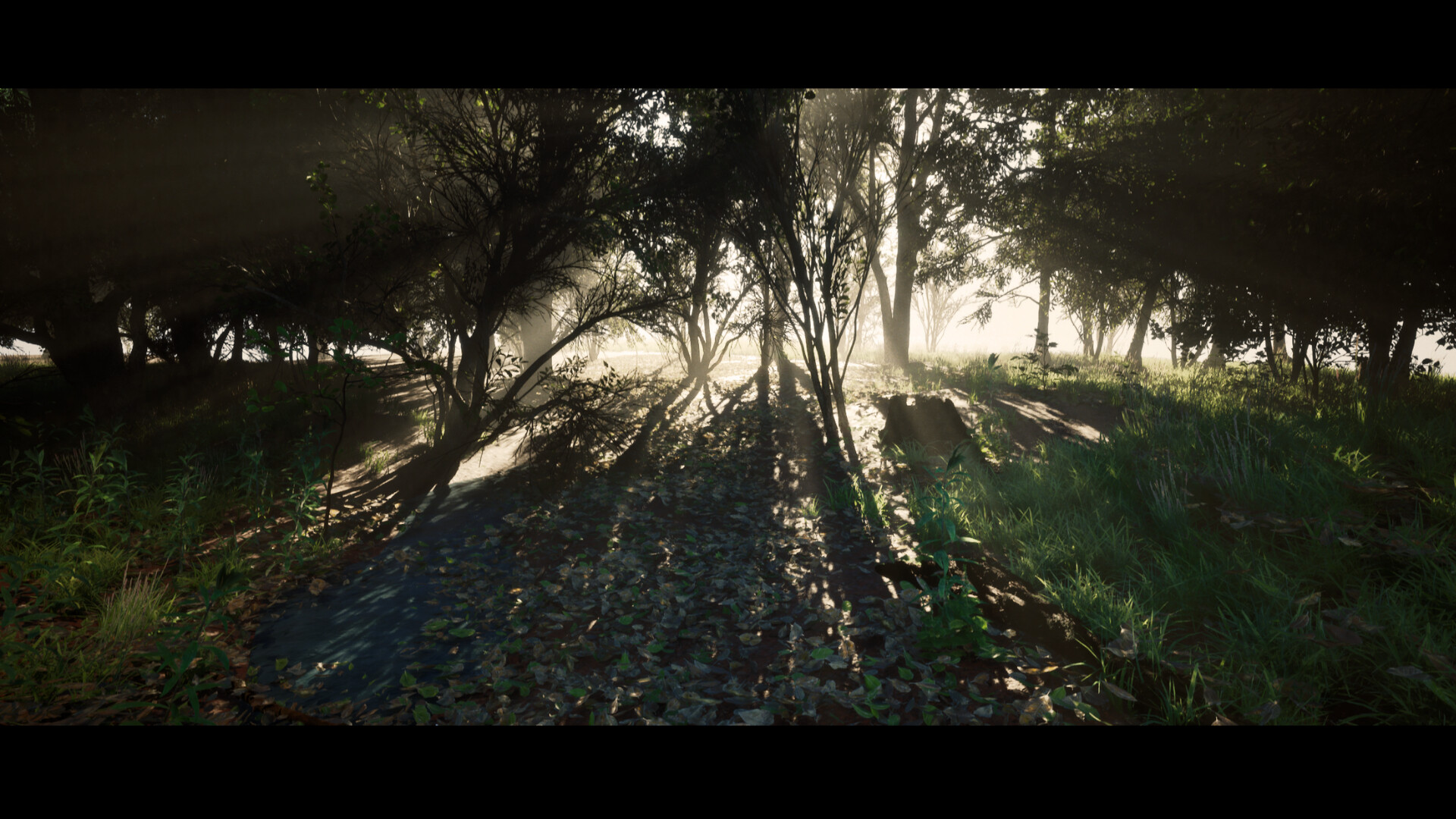 遊戲中的一個黑暗場景，暗示著心理恐怖元素。