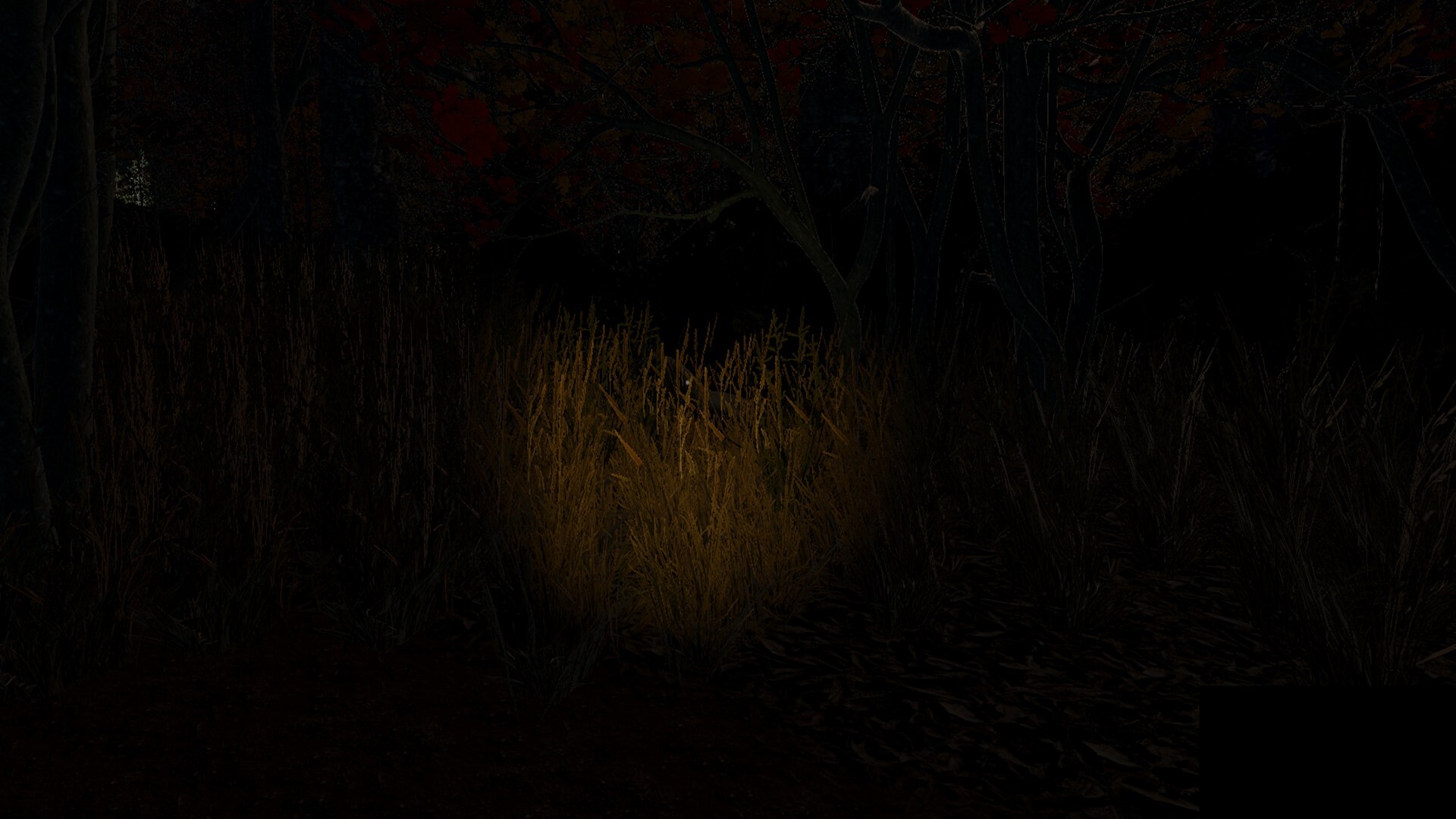 遊戲中的第一人稱視角,玩家正準備處理釣到的魚。