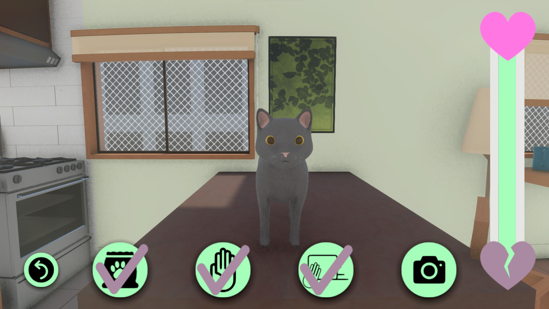 將 Blendkin 帶回家中飼養