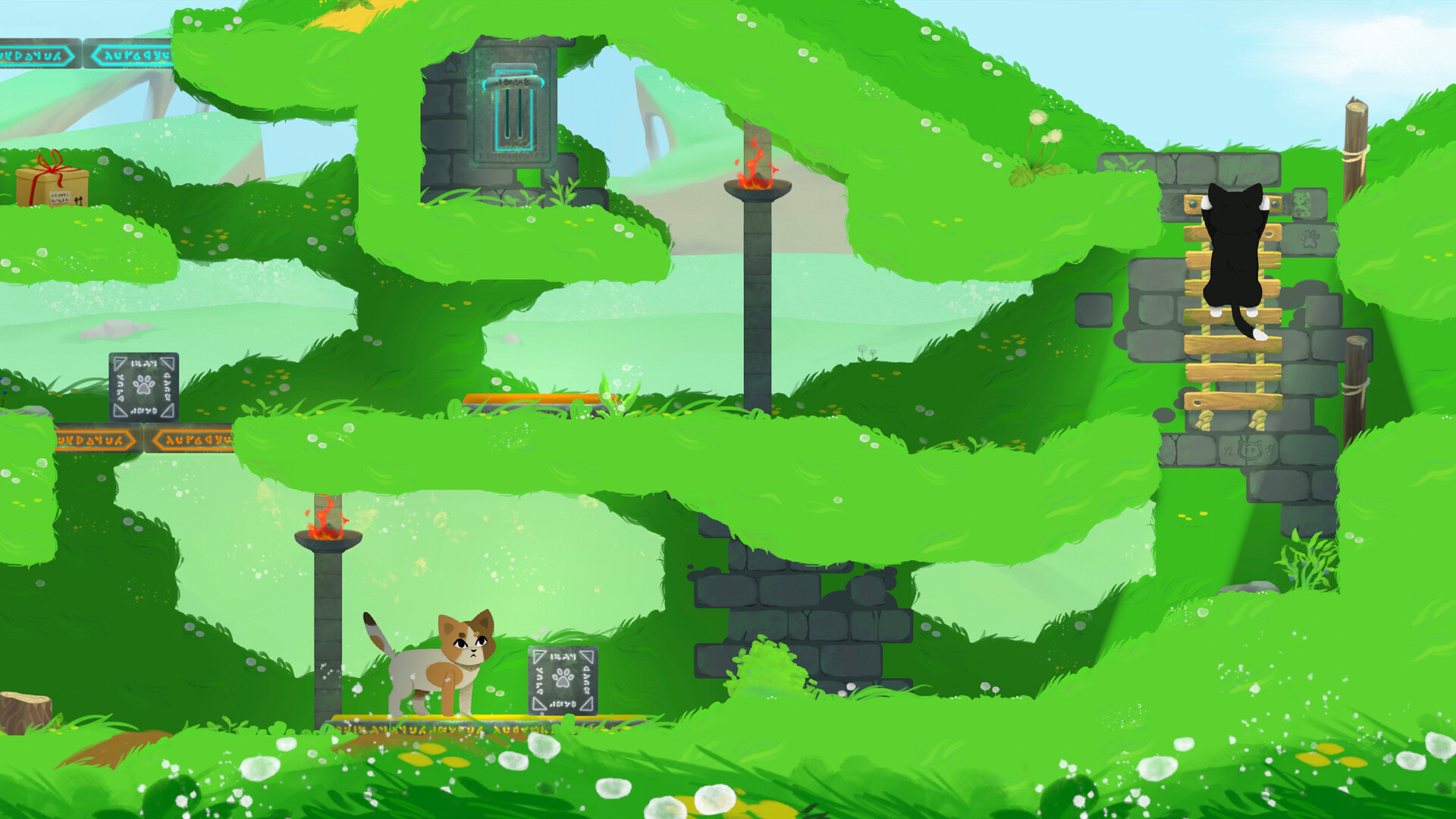 一隻橘貓跳到另一隻灰貓的頭上,試圖到達更高的地方。