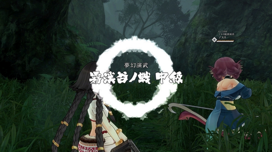 線上多人共鬥模式「夢幻演武」