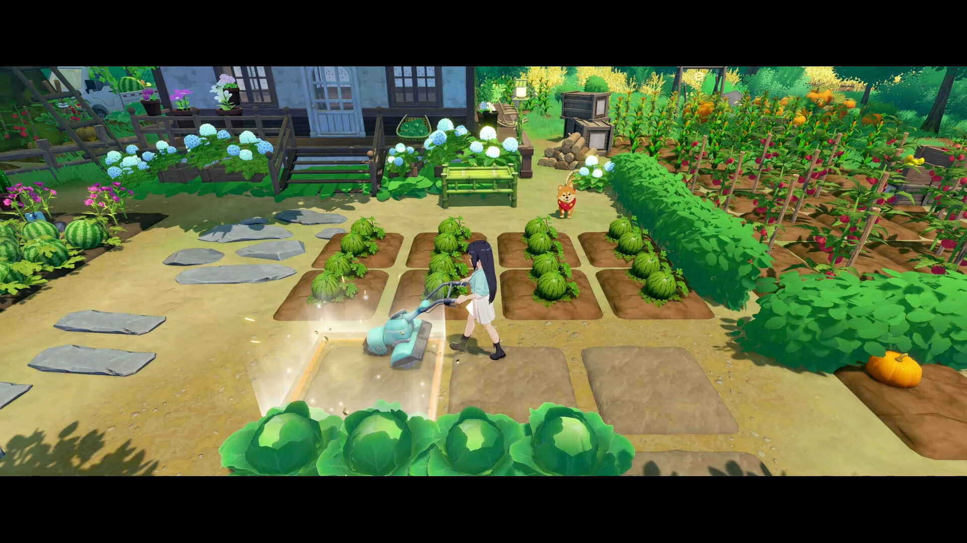 星砂島的夜晚,營火旁溫馨的場景。