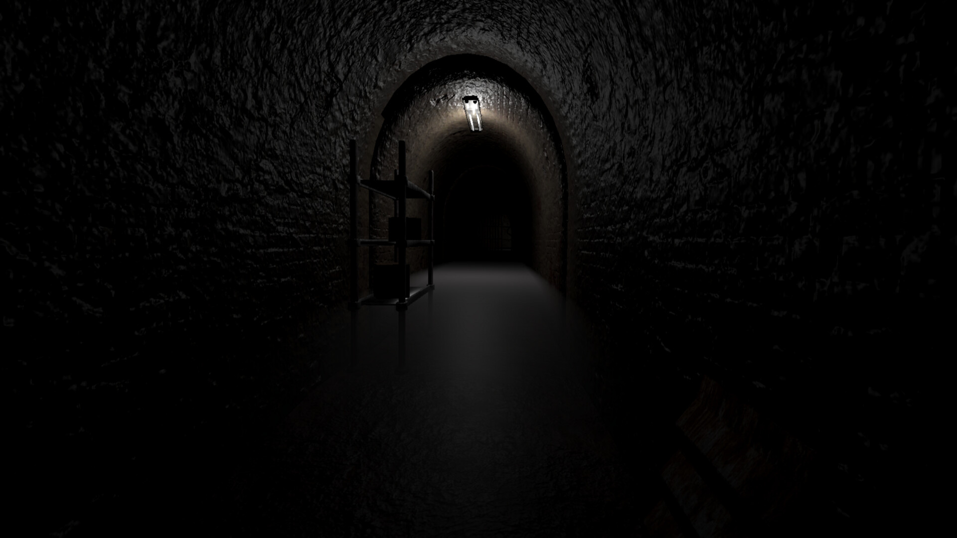 玩家需要在黑暗中探索，尋找生存的希望。