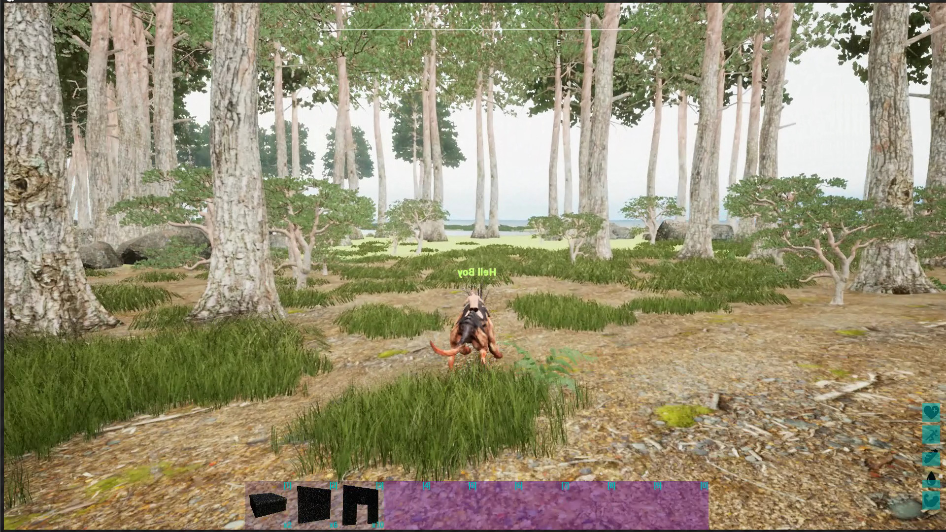 玩家建造的庇護所