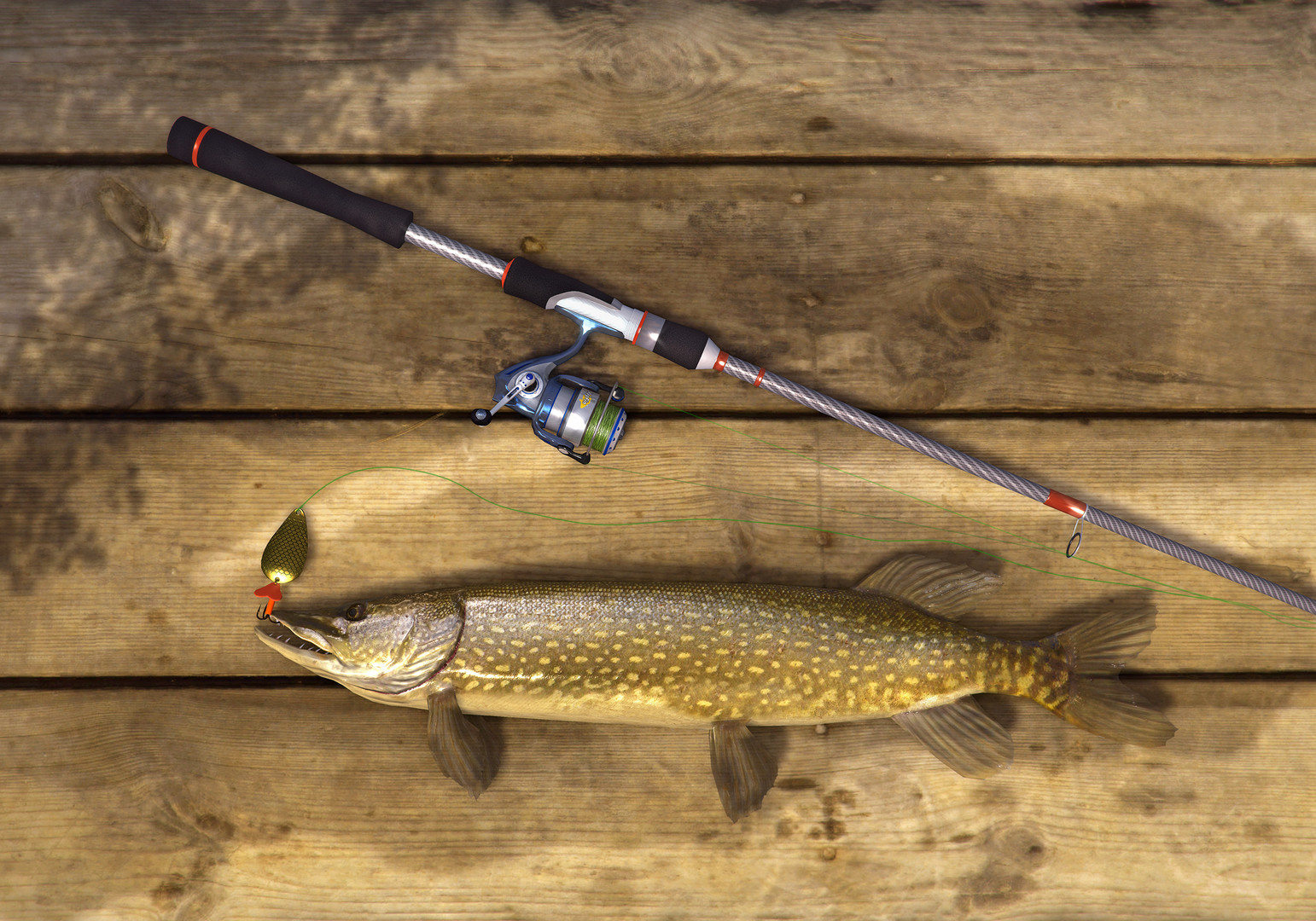 展示豐富的漁獲