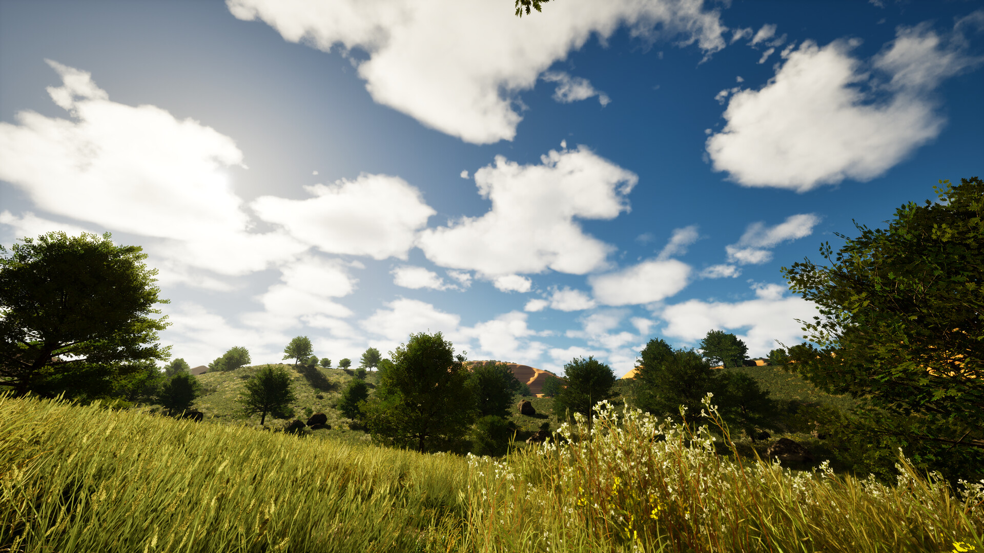 玩家駕駛車輛在遊戲世界中行駛的畫面。