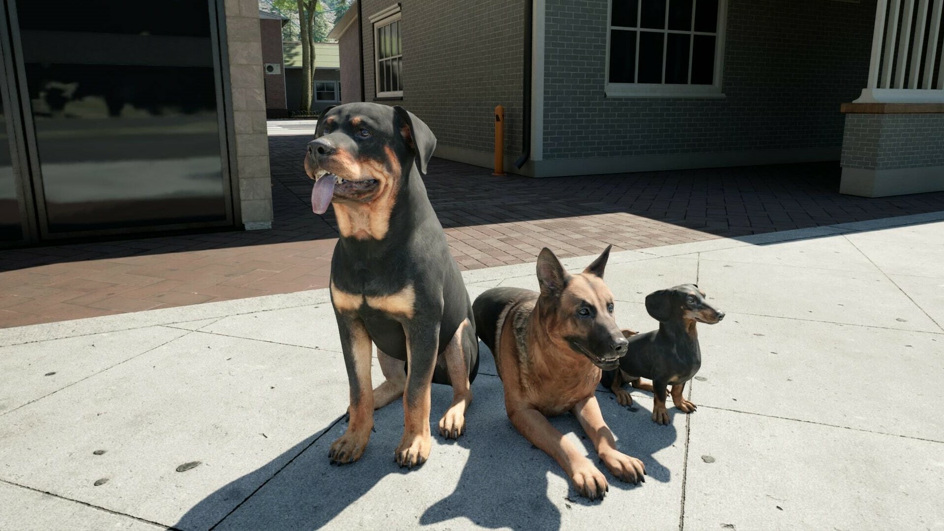 與好友分工合作,讓牧場經營事半功倍