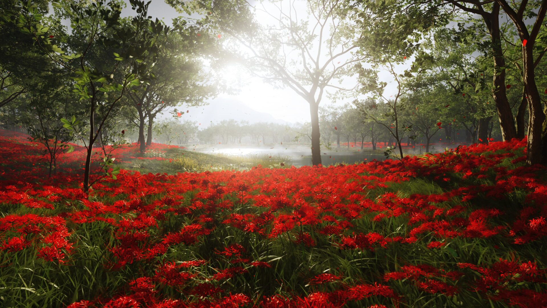 遊戲中的戰鬥場面