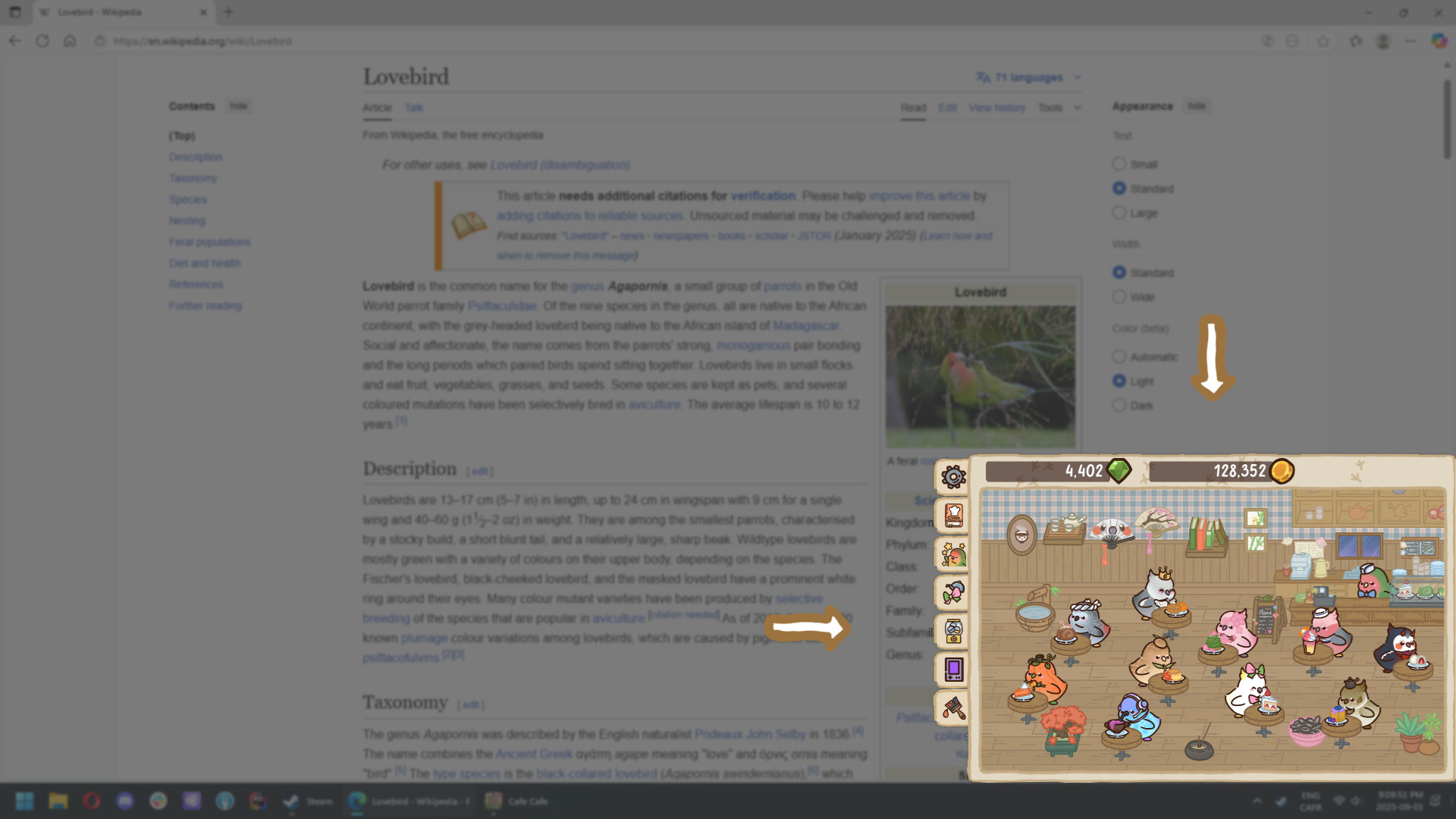 治癒系放置經營新選擇！《鳥兒咖啡館》帶來可愛鳥類收集休閒遊戲體驗