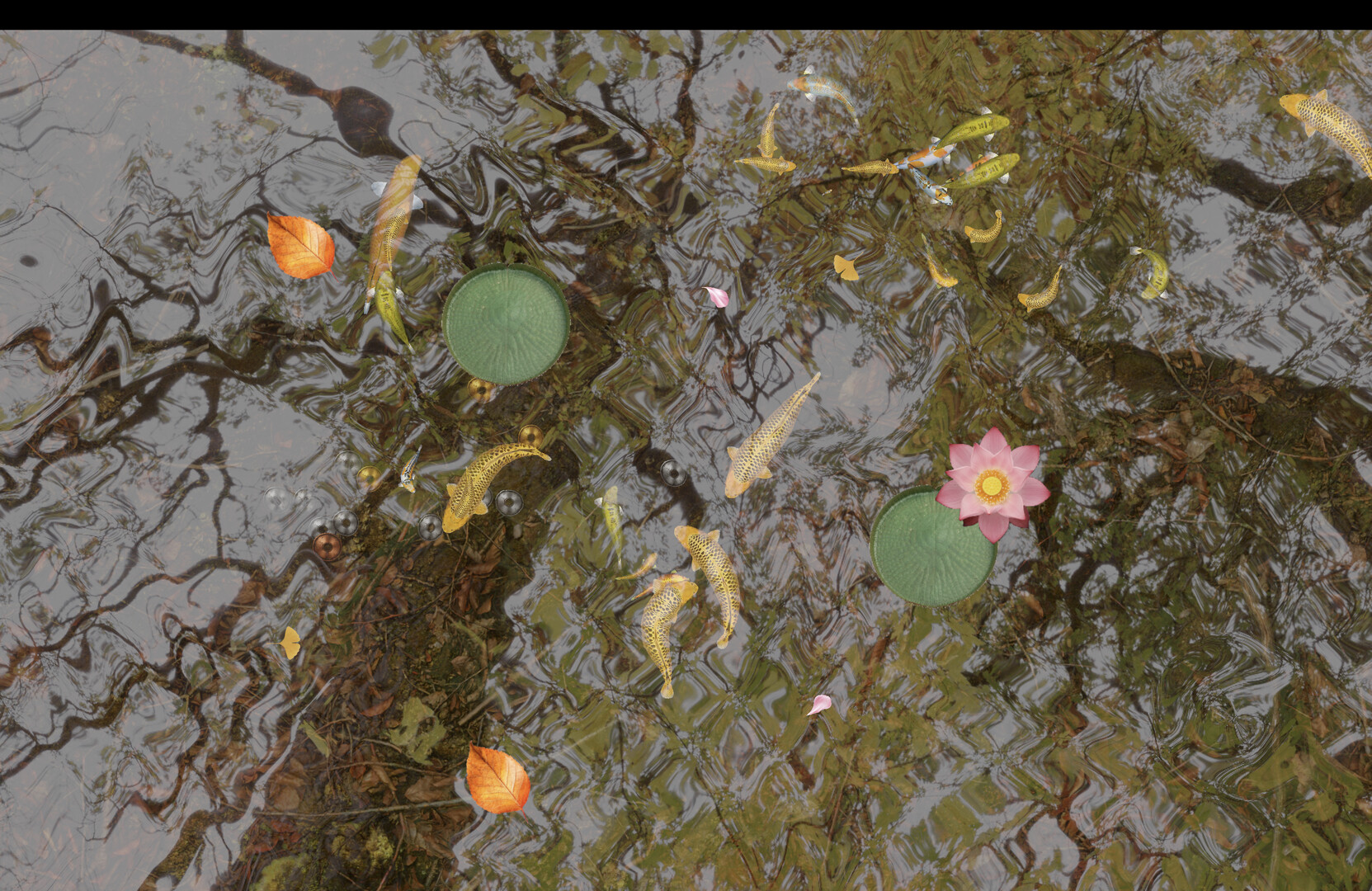 一個設計簡潔的池塘，突顯了錦鯉本身的色彩和動態。