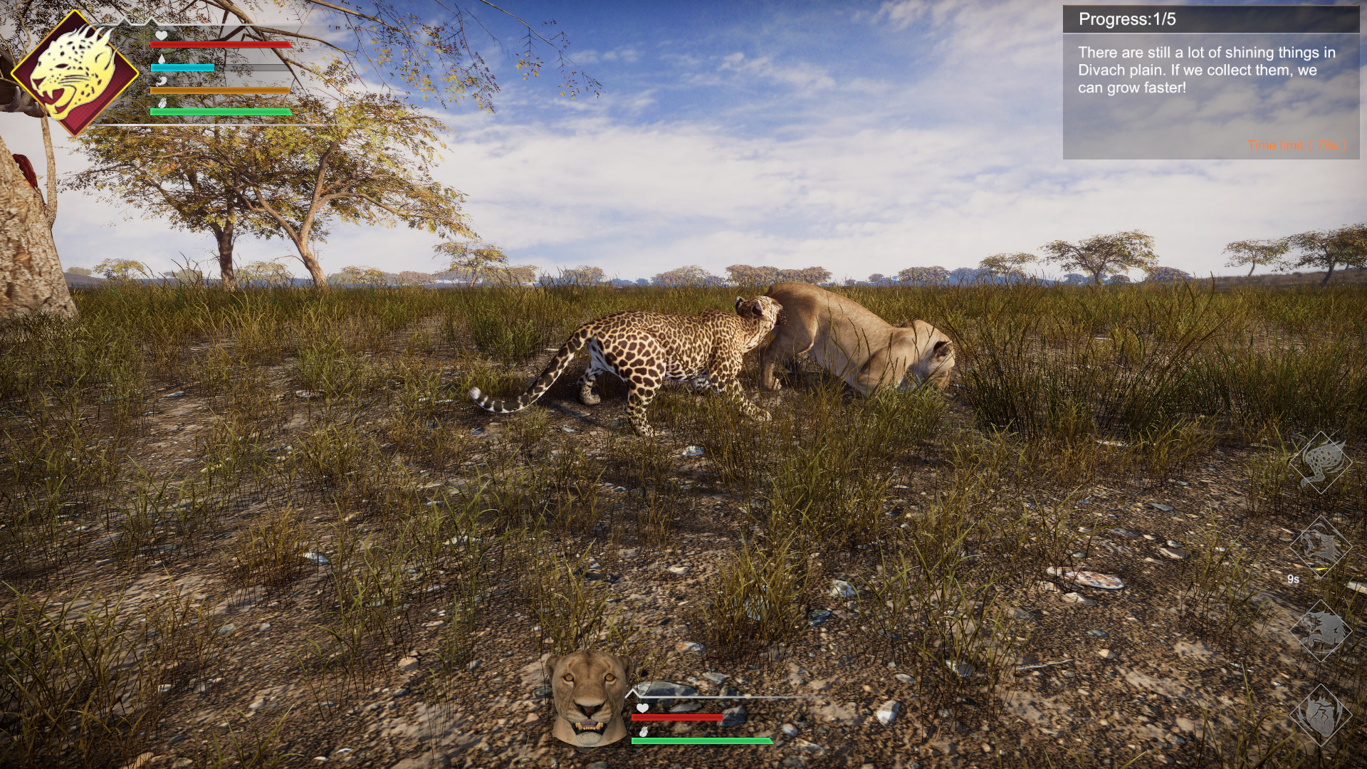 一頭花豹在草原上蓄勢待發