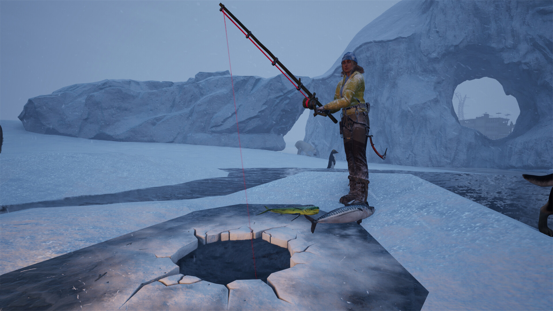 與馴服的動物夥伴一同冒險