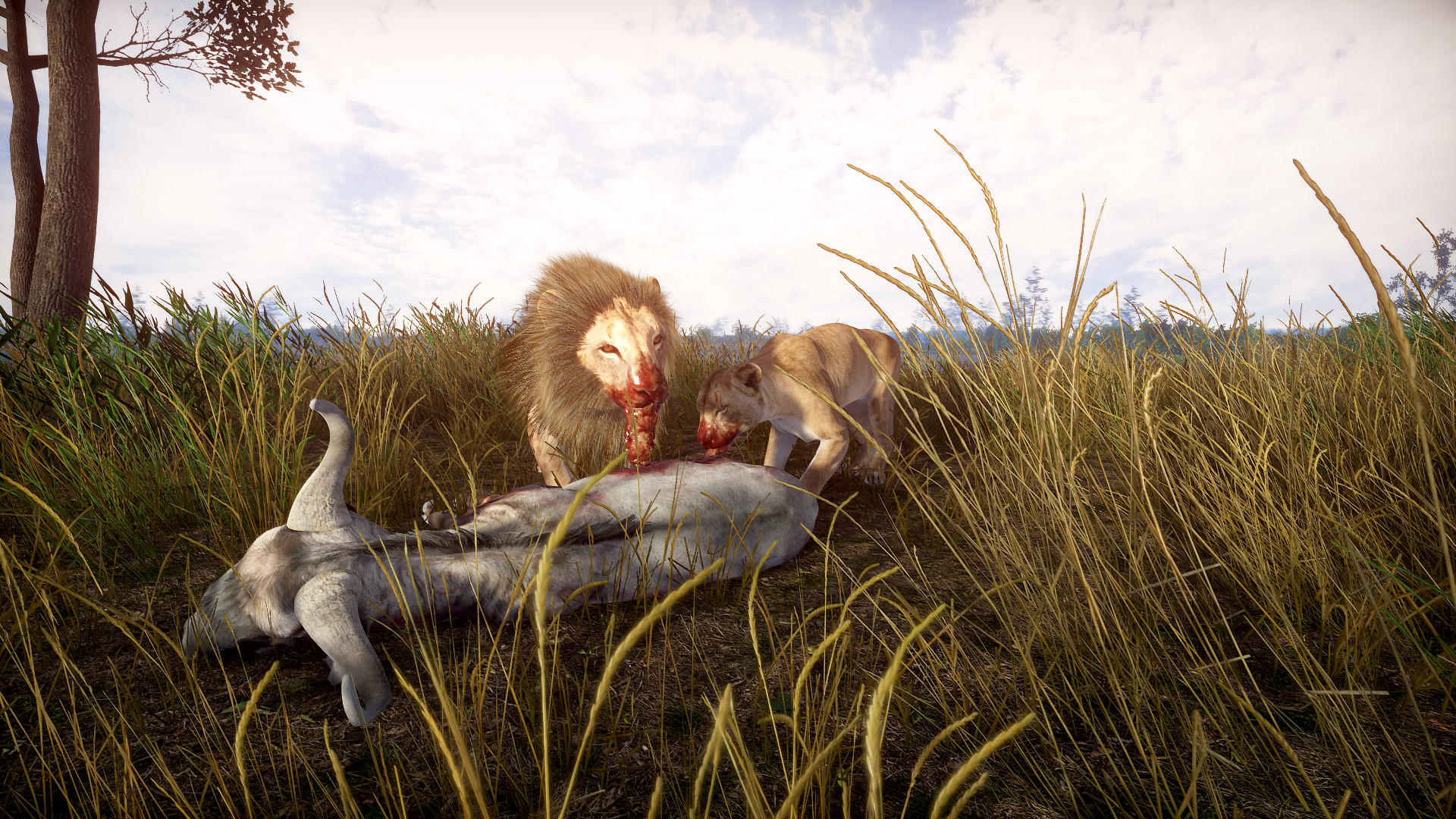 一頭花豹在山脊上眺望遠方