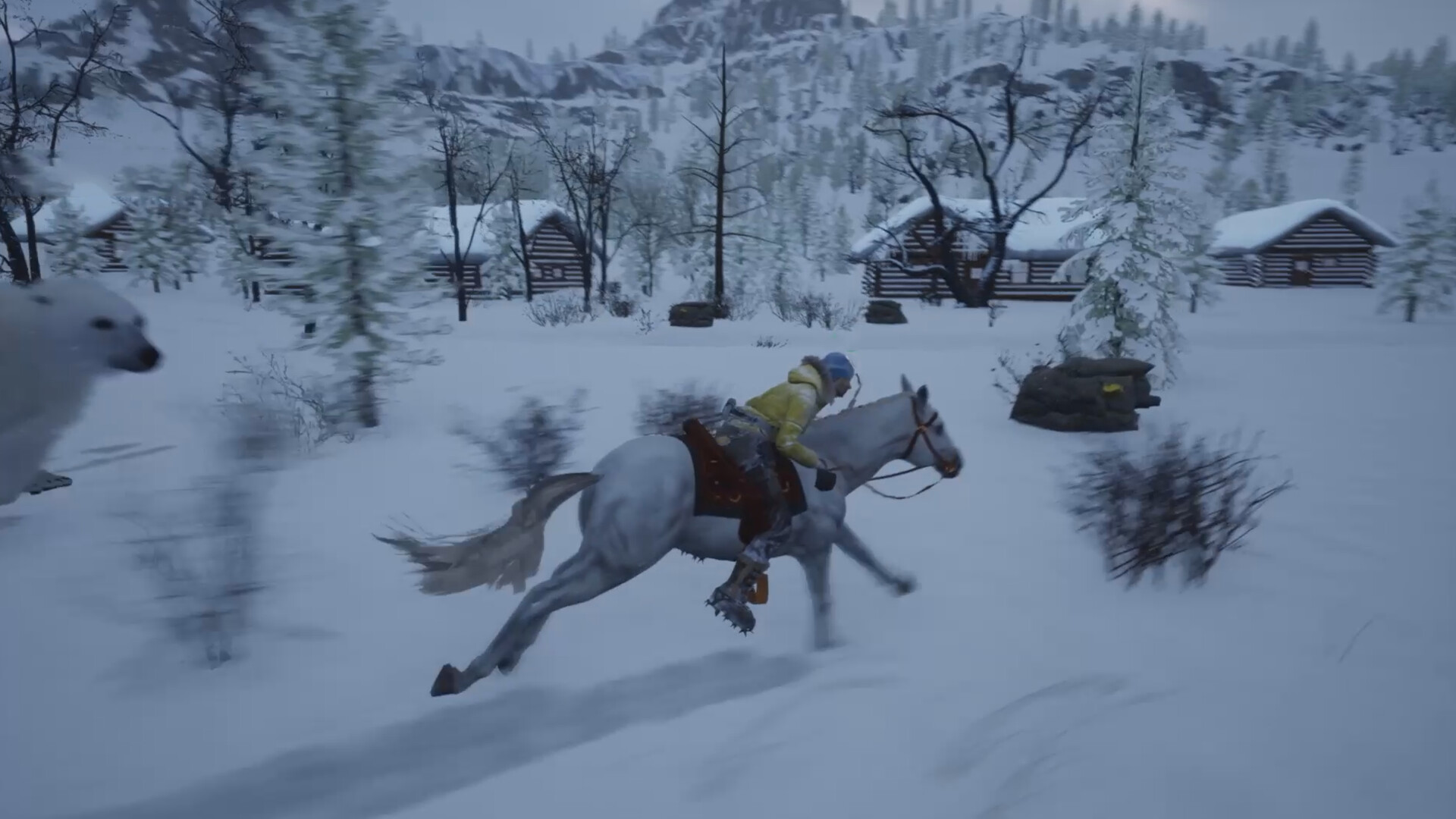 在冰天雪地中探索