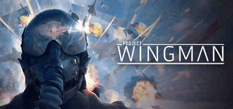 《Project Wingman》遊戲畫面