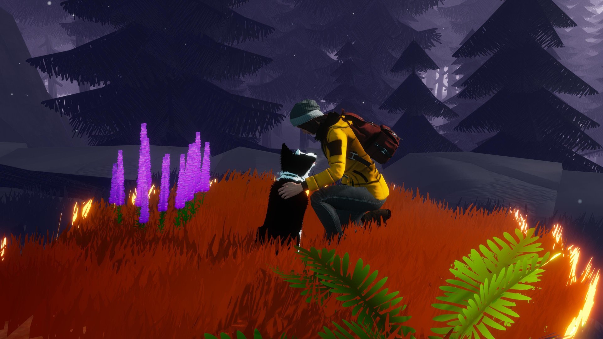 玩家需要引導羊群