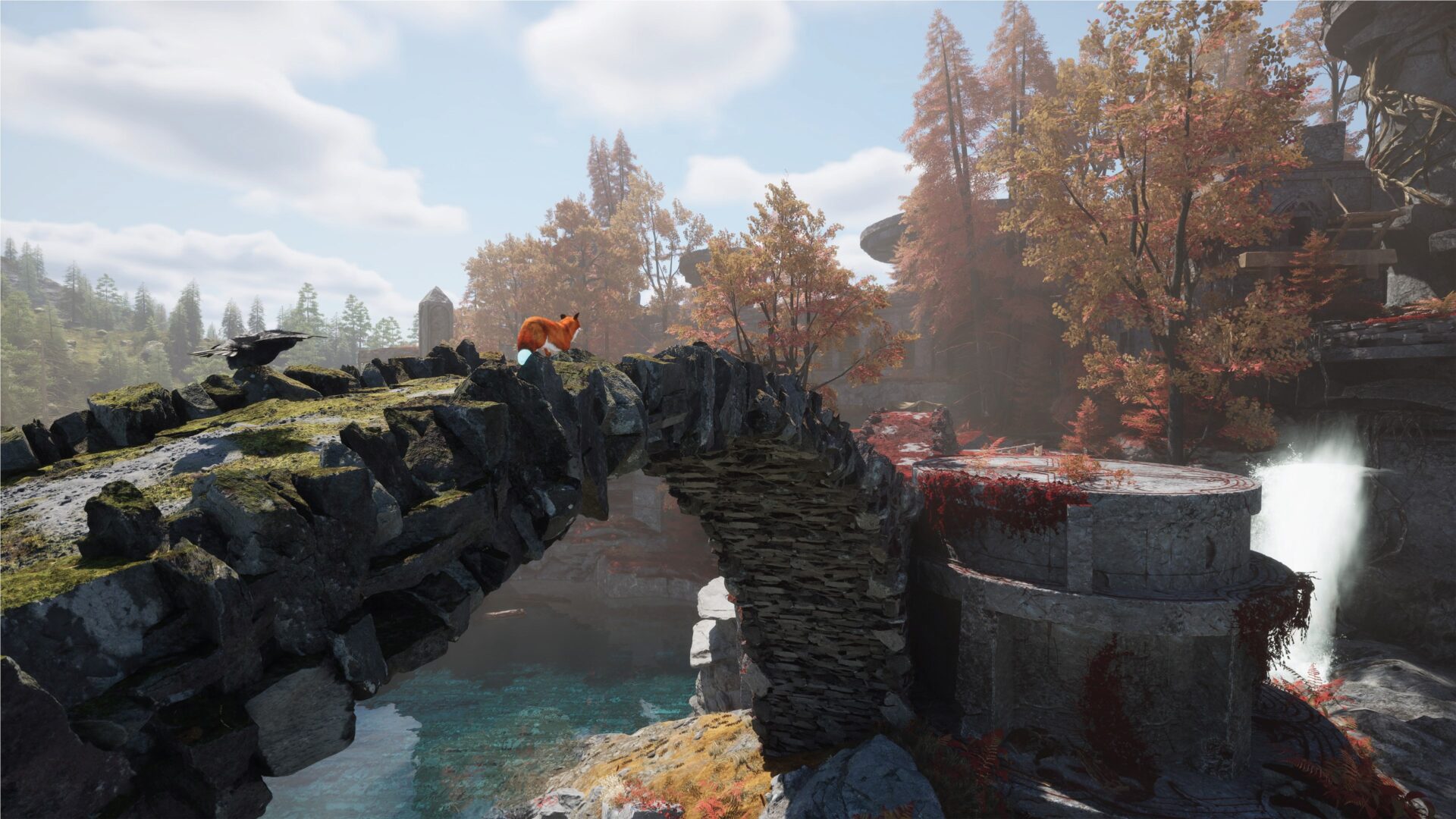 狐狸與烏鴉夥伴共同面對前方的挑戰