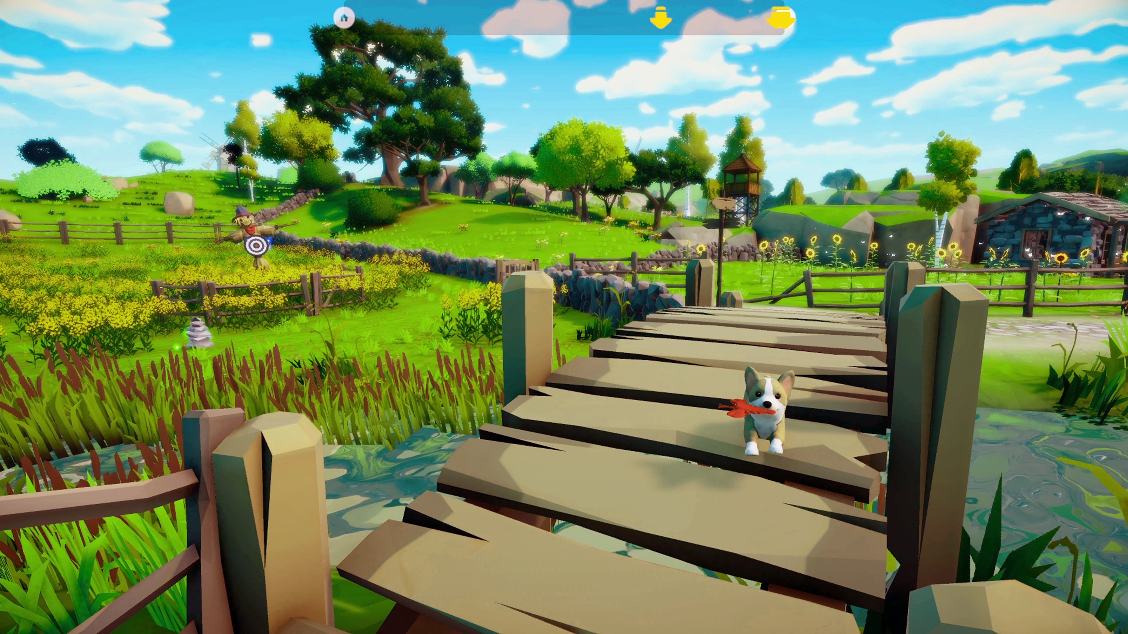 多樣化的戶外設施讓狗狗盡情放電