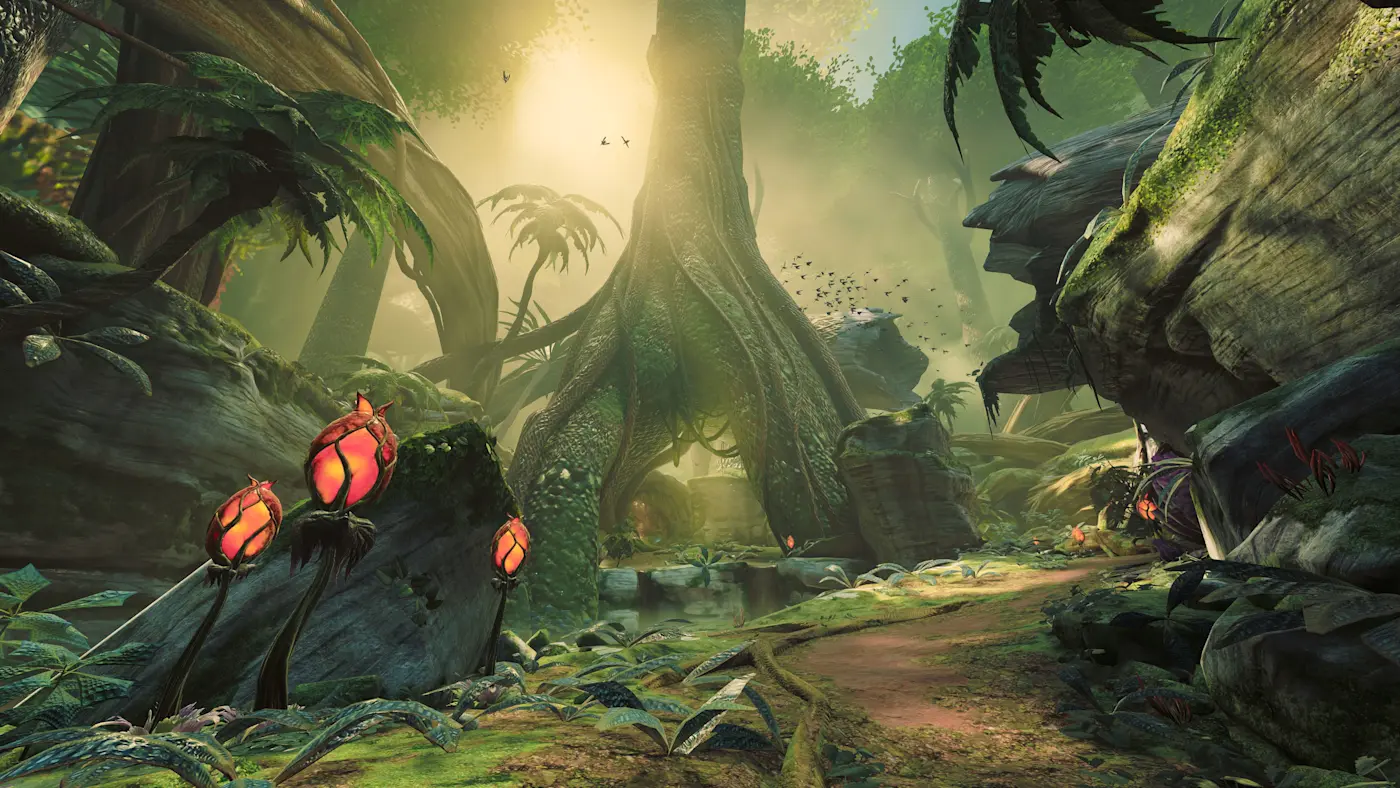 茂密的叢林區域