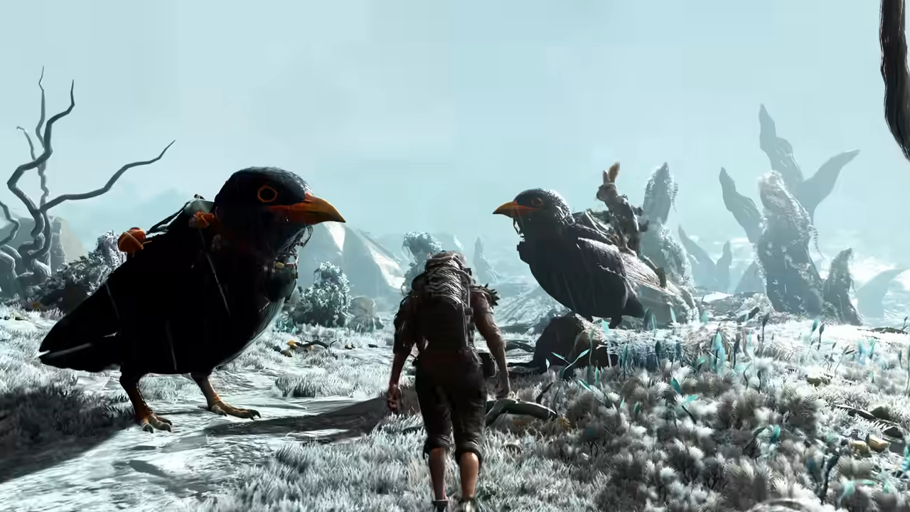 玩家馴服巨大鳥類作為坐騎