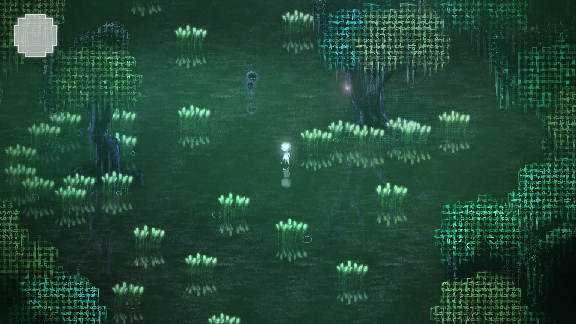 在森林中引導Daps