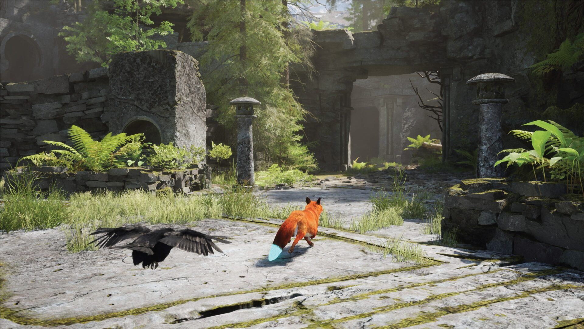 極光下的壯麗景色