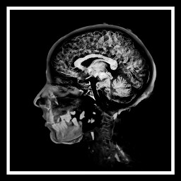 特警隊員們準備進入一棟建築物