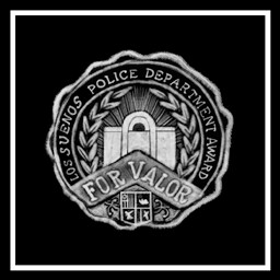 一名特警隊員在夜晚的場景中持槍警戒