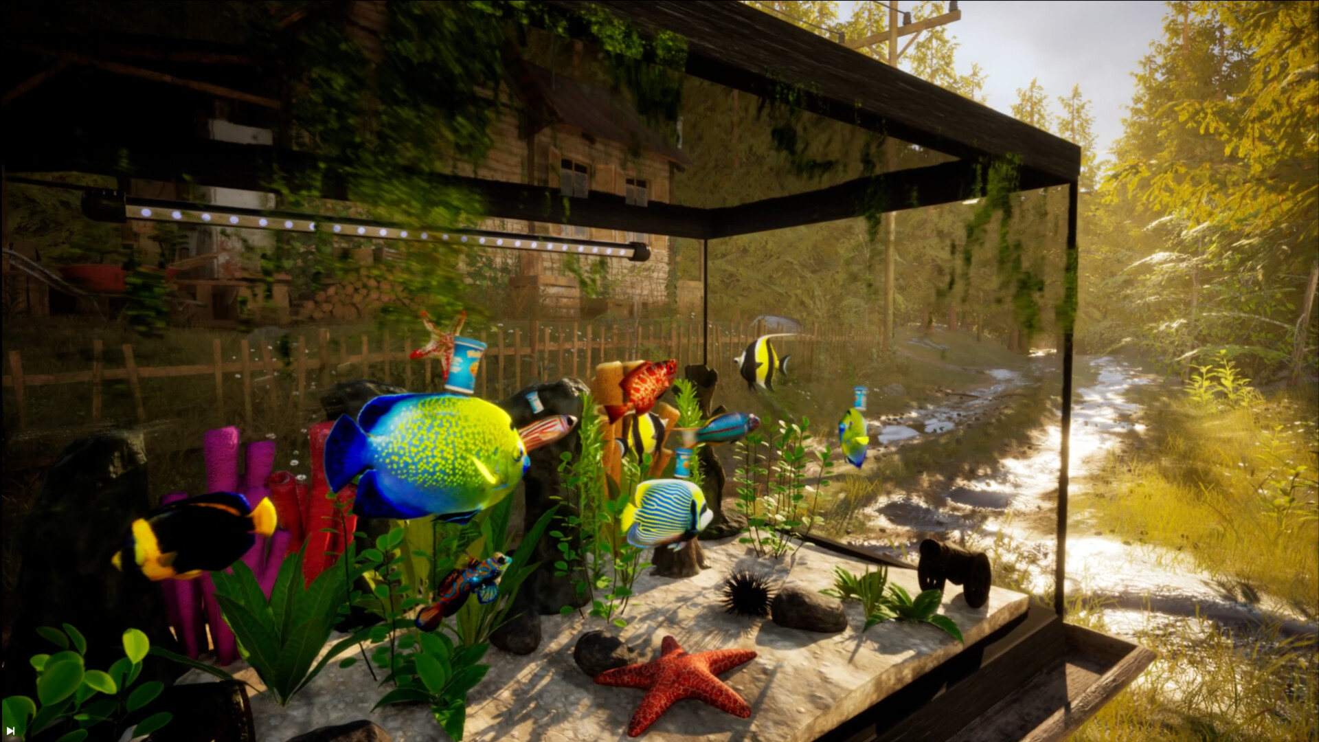 隨著日夜變化，魚缸呈現出不同的光影美感