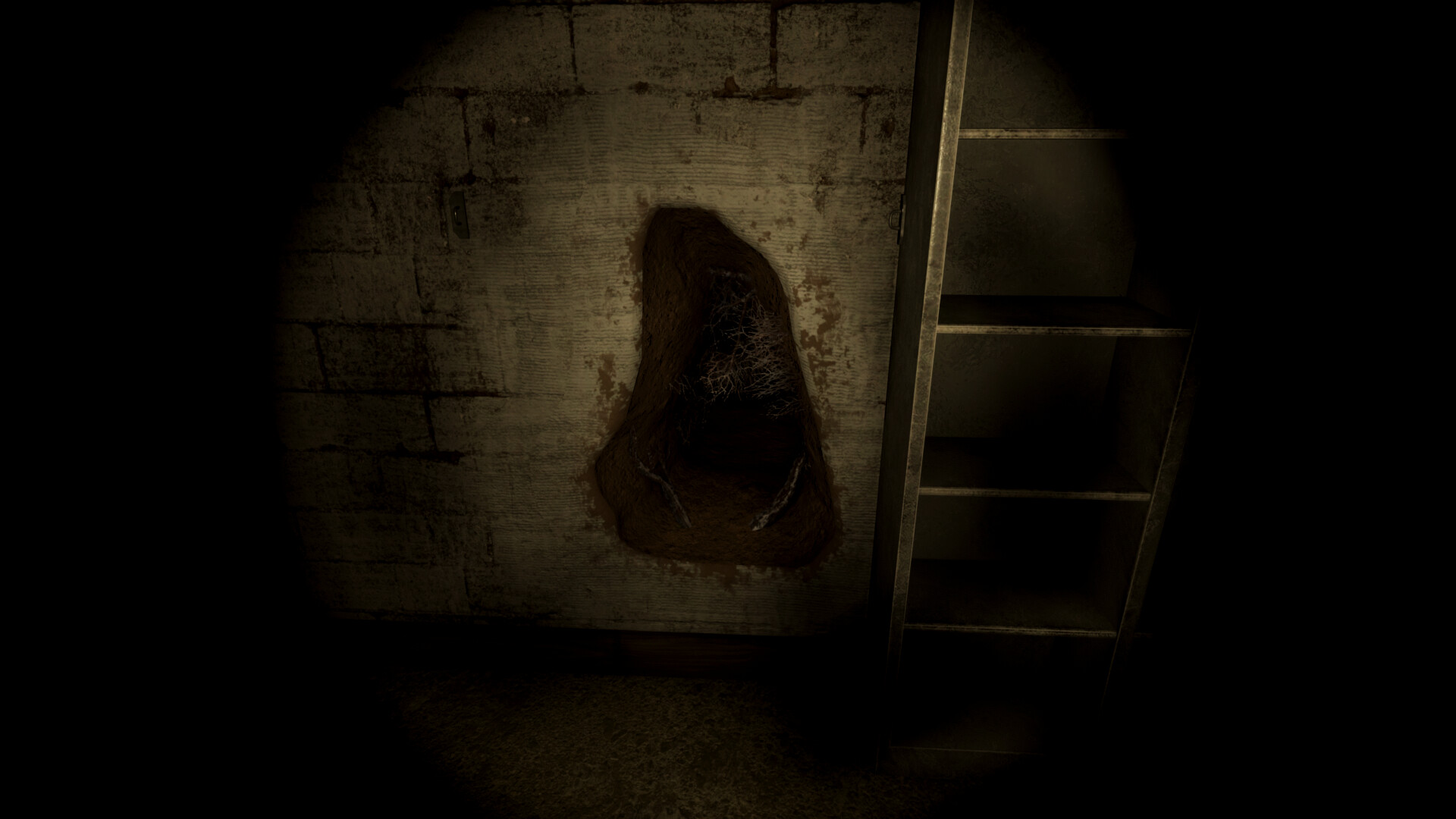 昏暗的地下室隱藏著解開謎題的關鍵線索。