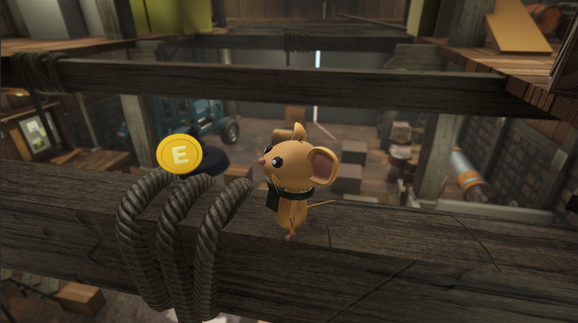 蜘蛛利用其特殊的移動能力探索高處