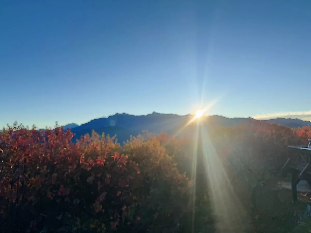 快速出貨與細膩包裝