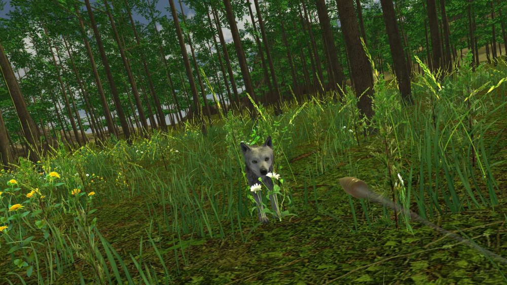 精細的槍枝模組