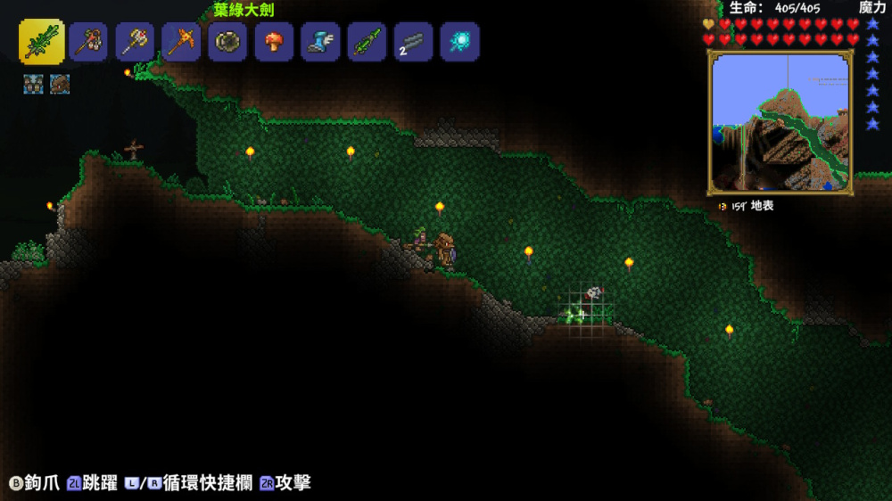 多樣的生態系與環境細節