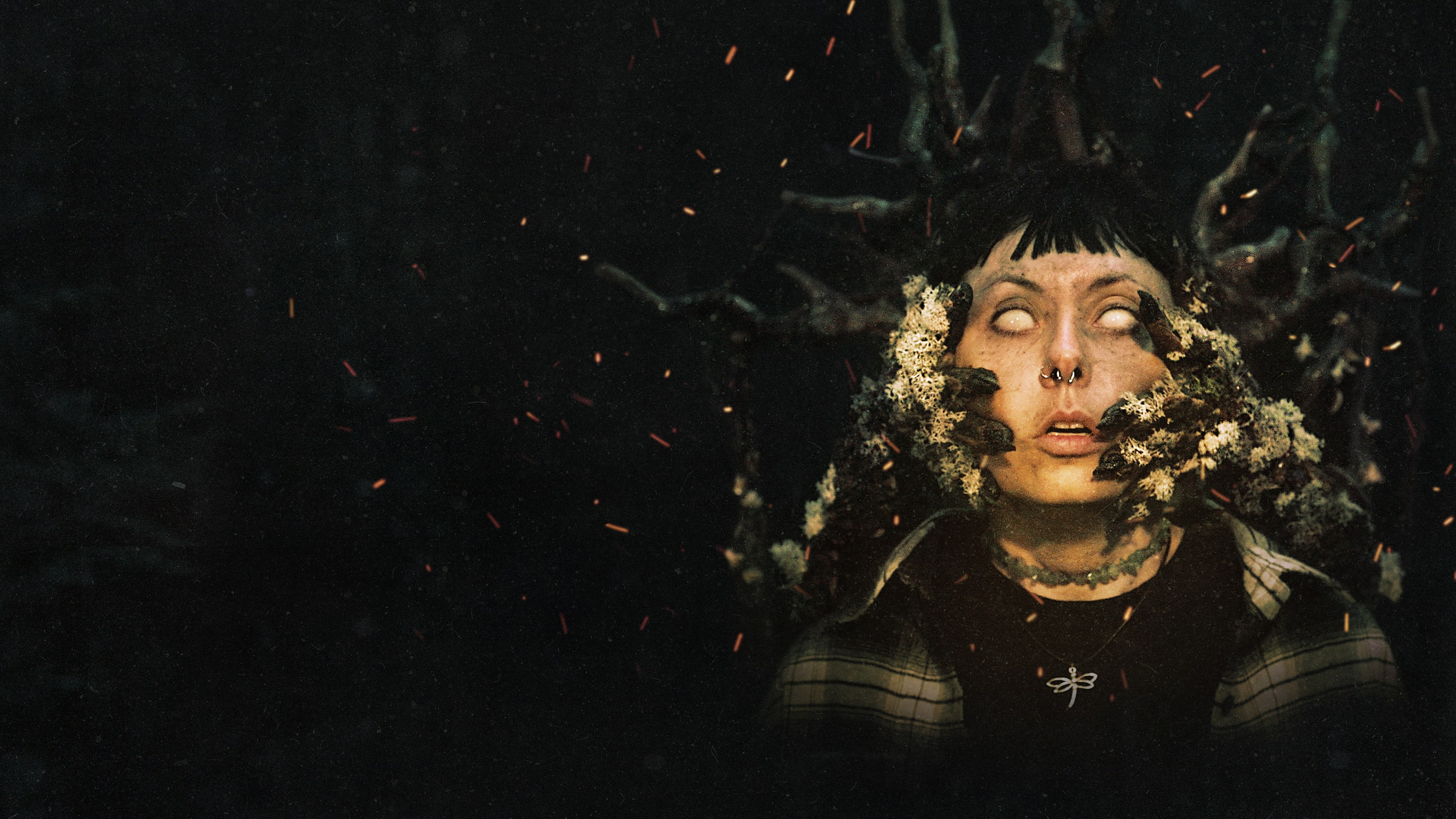 Heart of the Forest 遊戲主視覺圖