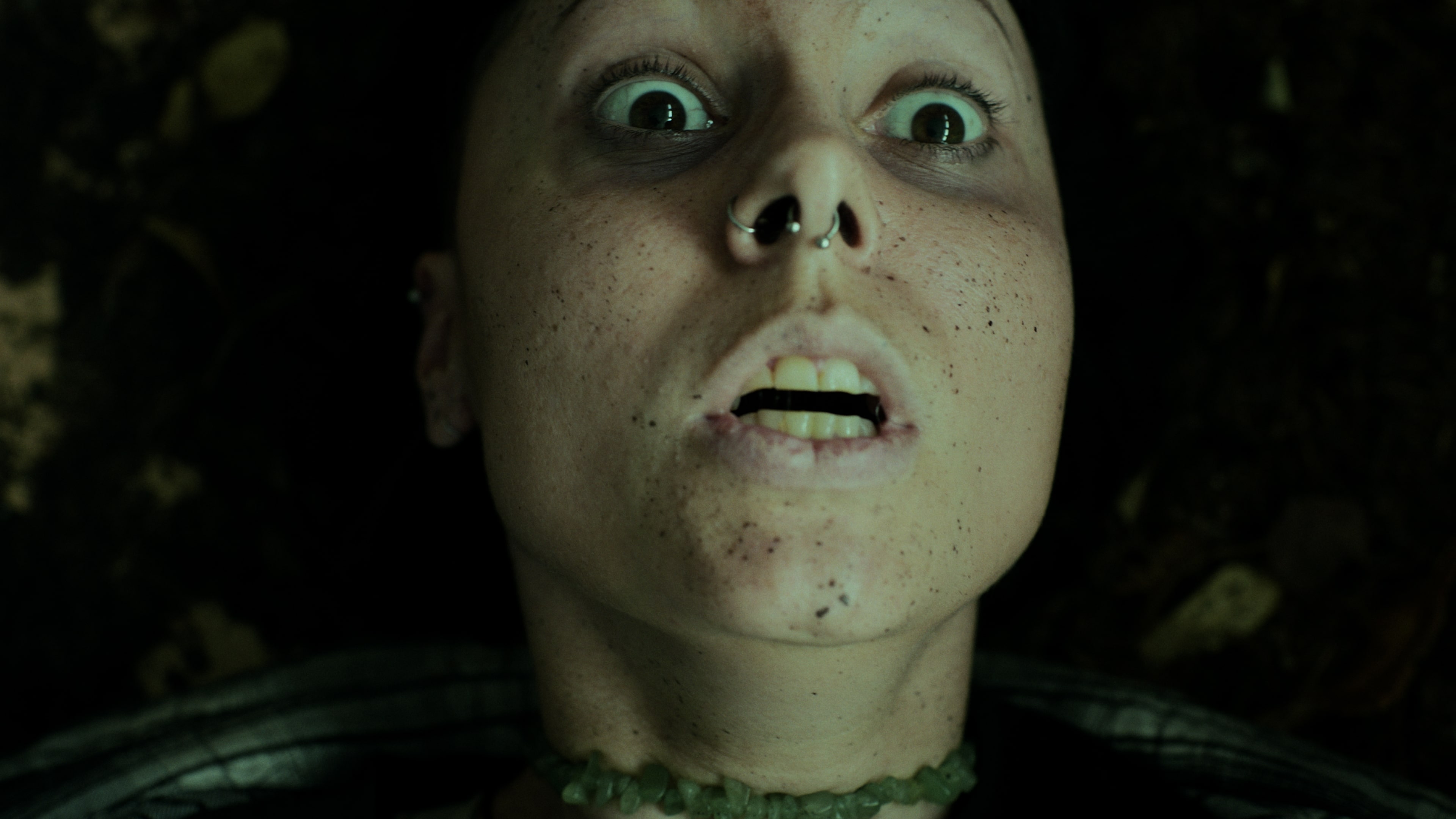 充滿迷霧的森林小徑