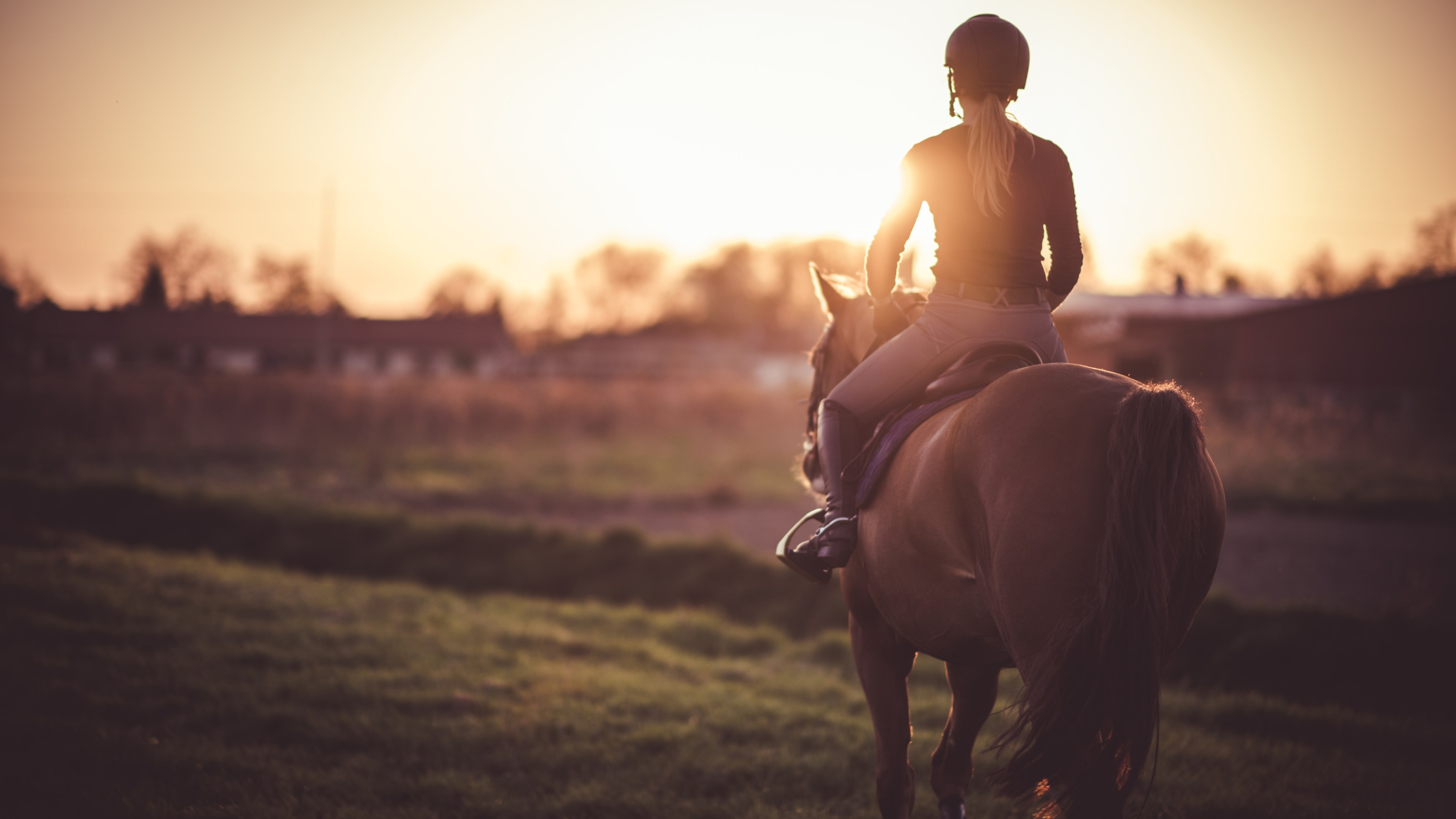 Stable Stories - Forest and Meadow Ride 遊戲視覺圖