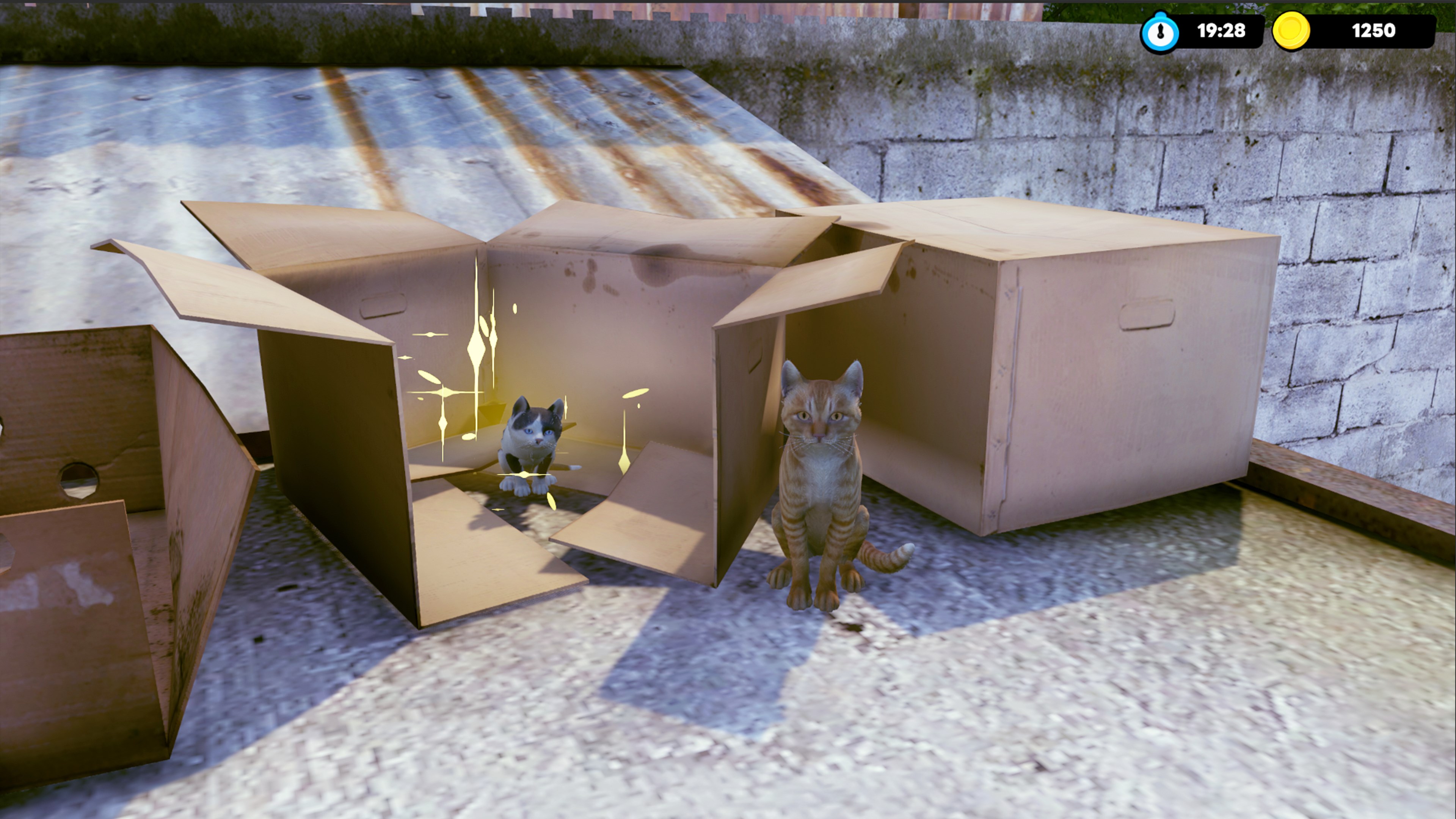 哈瓦那繽紛的屋頂探索