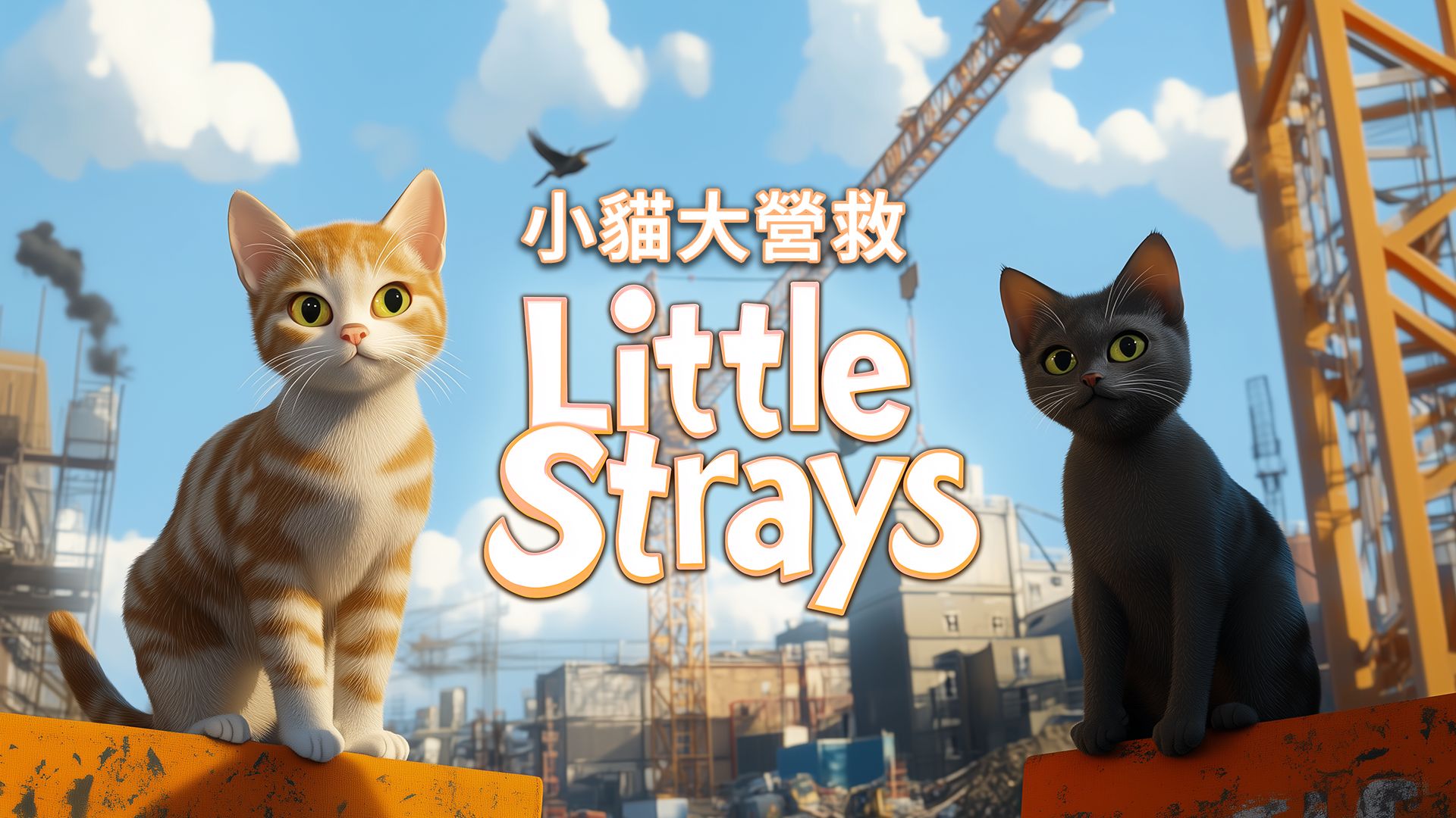 LITTLE STRAYS 小貓大營救主視覺圖