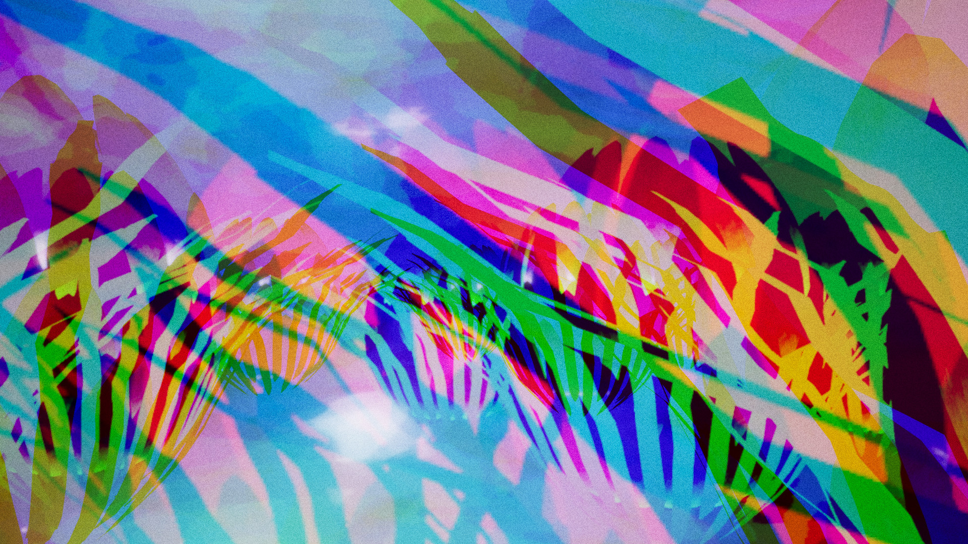 LAVALAMP 的奇異植物與空間