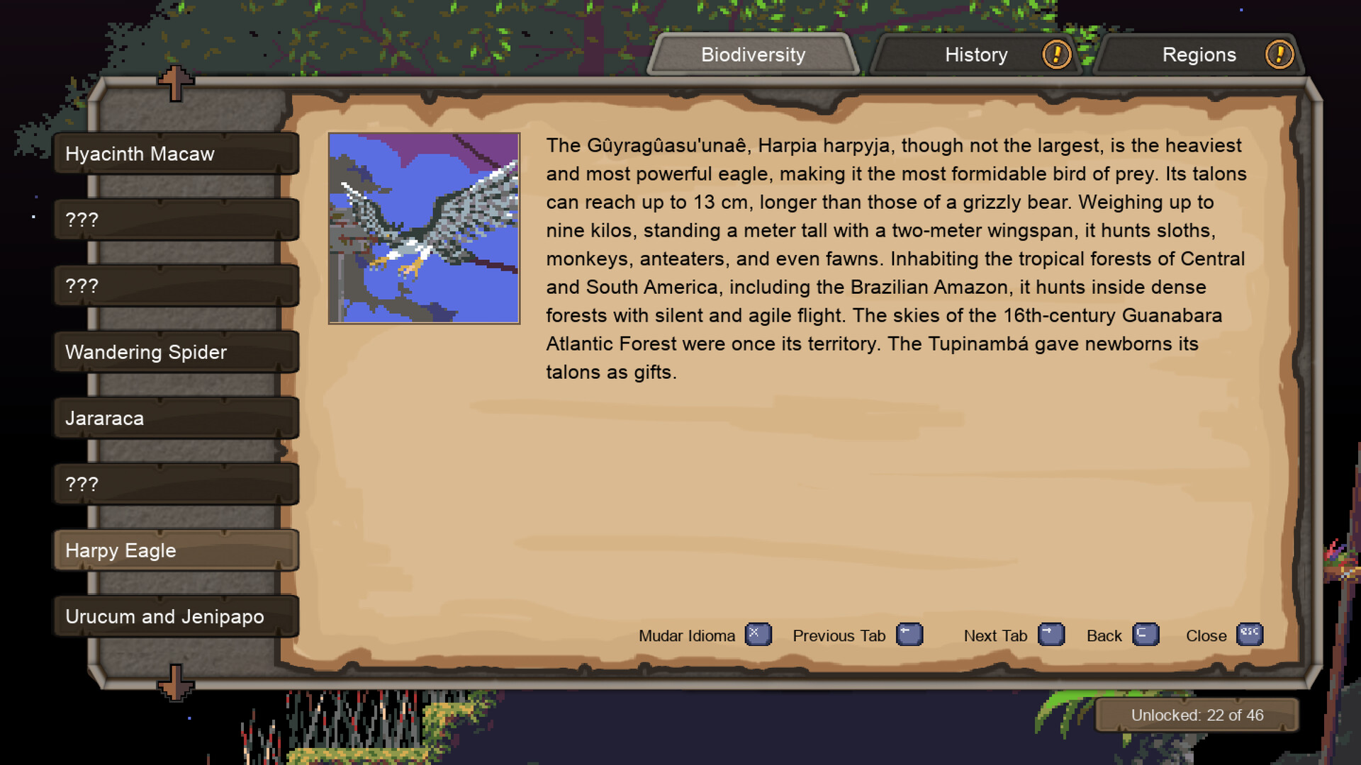 探索巴西的自然美景