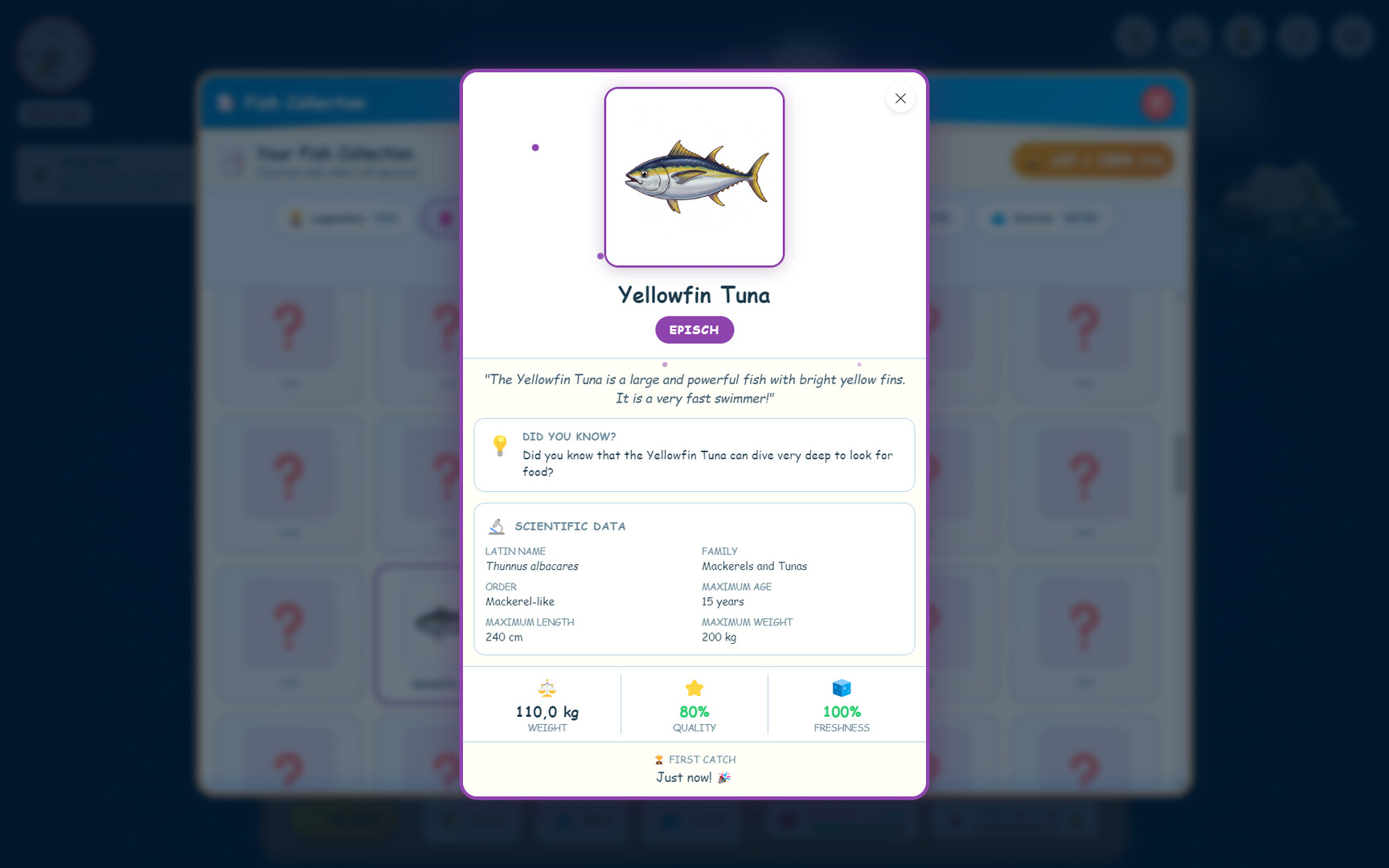 美麗的夕陽與海面反光